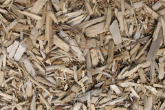 biomass boilers Sannox